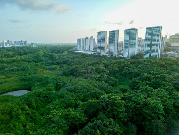 Rénovation d'ampleur : les solutions pour un habitat durable