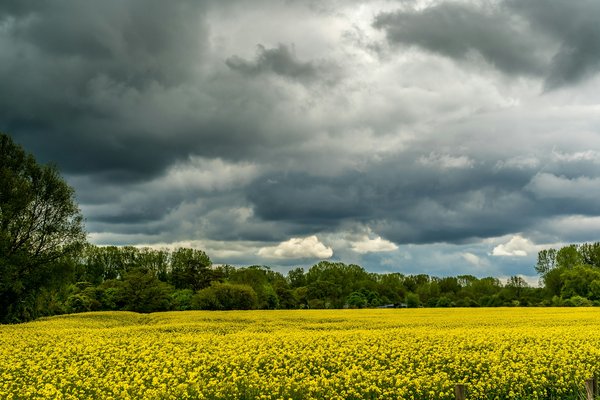 Comment mettre en place une mini station météorologique dans votre jardin ?